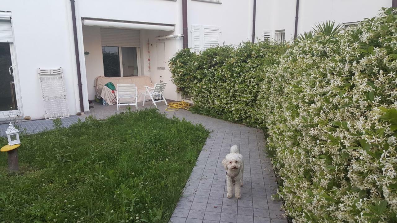 Condominio Vite Misano Adriatico Exterior foto